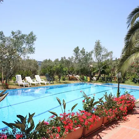 Charming In With Pool & Garden *