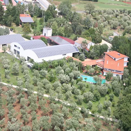 Casa vacanze Charming In With Pool & Garden *