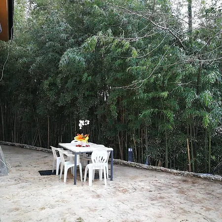 Charming In With Pool & Garden Maida