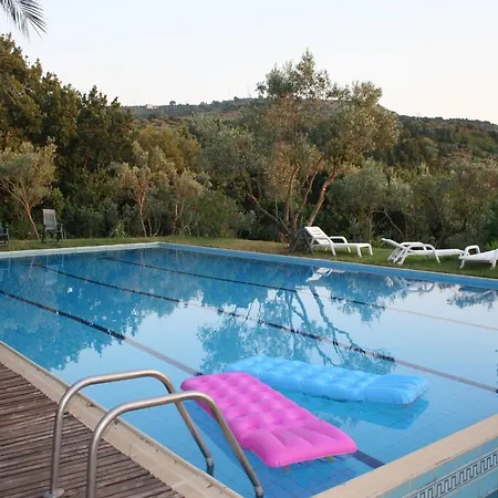 Charming In With Pool & Garden Holiday home Maida