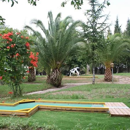 Charming In With Pool & Garden * Maida