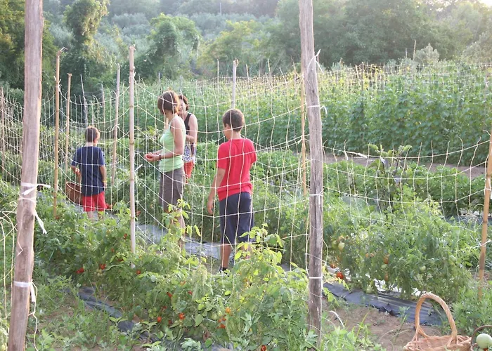 Casa vacanze Charming In With Pool & Garden