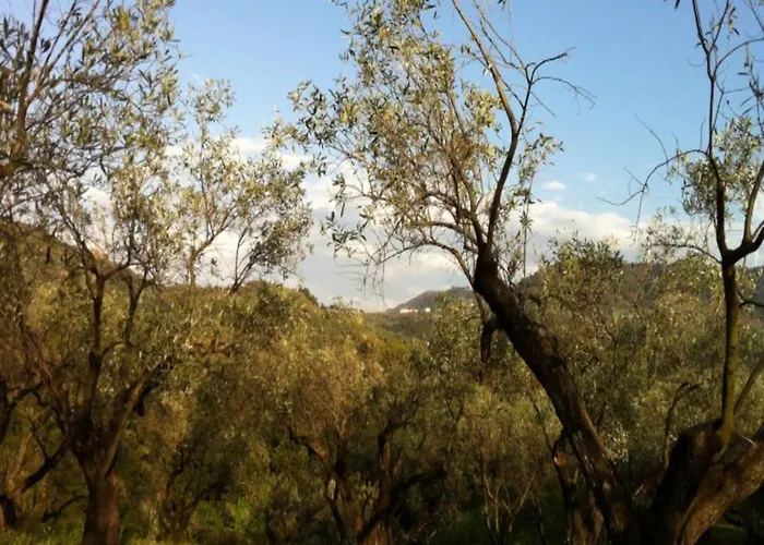 Charming In With Pool & Garden * Maida